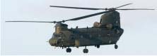 Chinook