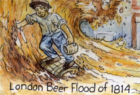 Craft Beers