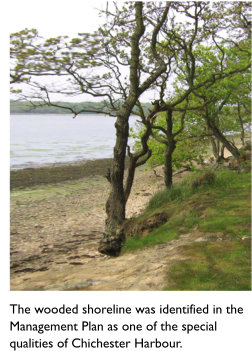 Chichester Harbour Shoreline