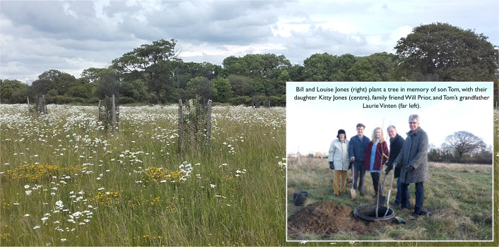 Community orchard