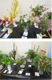 Denmead Horticultural Society April 22