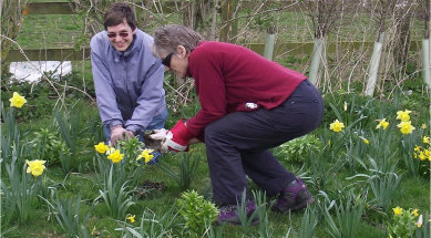 Friends of Havant Cemeteries