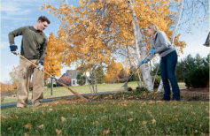 Gardening