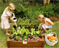 Green Schools