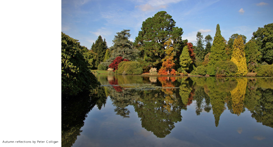 Autumn Reflections