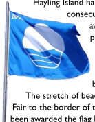 The Blue Flag