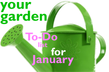 January Gardening Tips