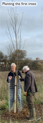 Planting first trees