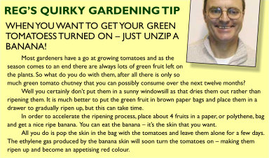 Reg's Gardening Tips for September/October