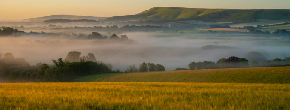 South Downs Park Photography Competition