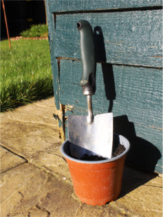 Garden trail in plant pot