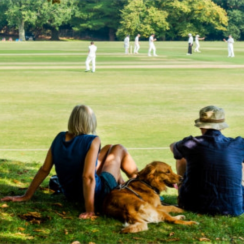 Arundel Cricket Match