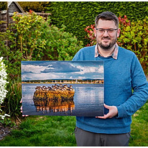 Bird Aware Solent Photography Competition