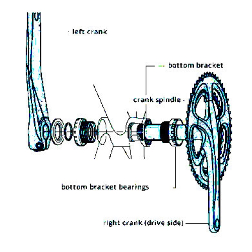 Cycle Clinic