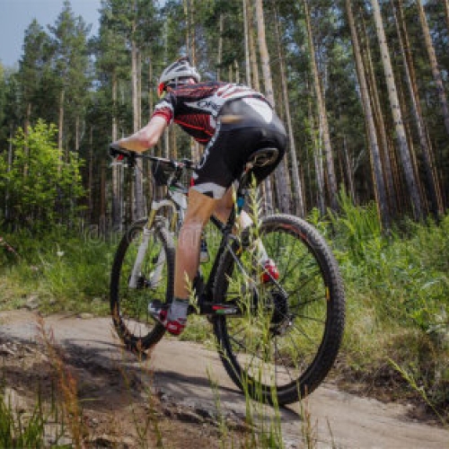 Cycling in the woods