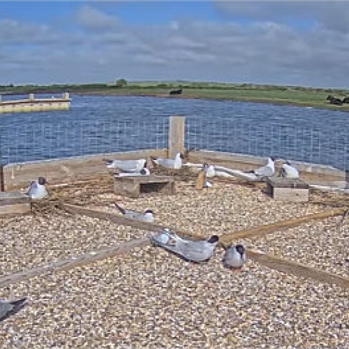 Chichester Harbour