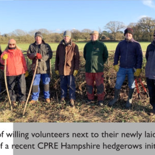 Community ‘Hedge’ Fund