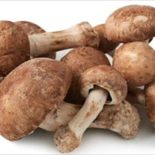 Mushrooms