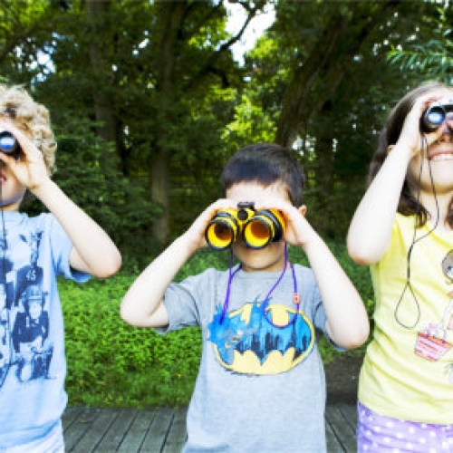 Friends of the SOUTH DOWNS