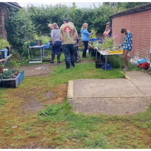 The Midsummer Garden