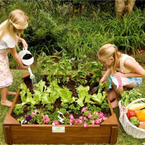 Green Schools