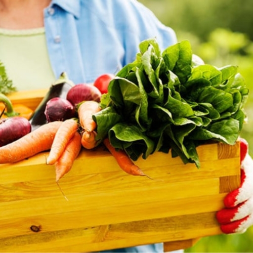 Grow your own