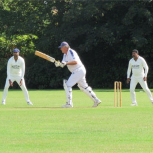 Hayling Island Cricket Club