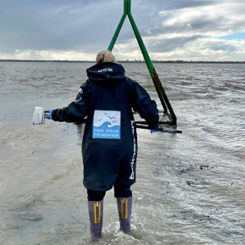 Harbour Water Quality Concerns