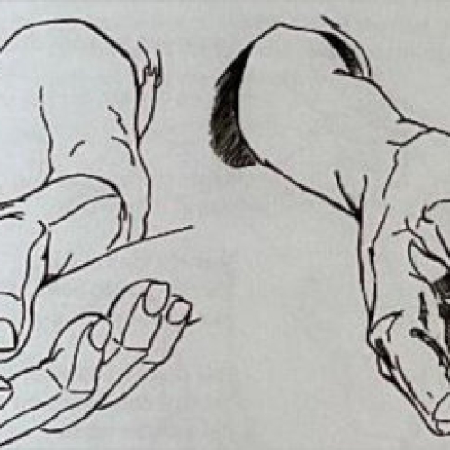 'INSIGHTS on how to draw the human figure and characterisation' book