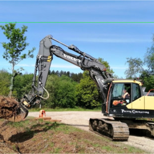 Moving Trees