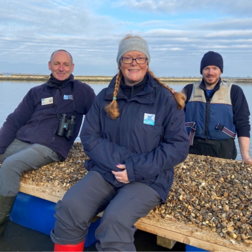 New Island Haven for Birdlife Aware Solent