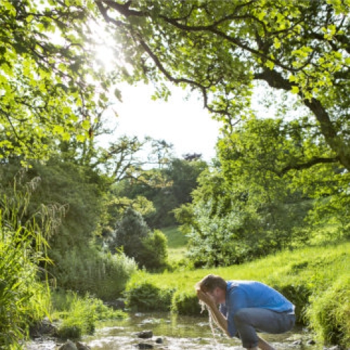 Photographic Competition