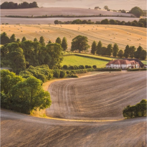 Photography Competition