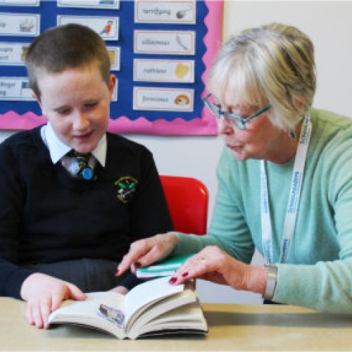 Schoolreaders needed