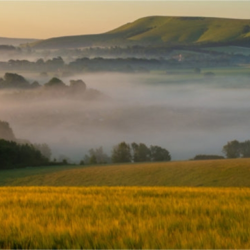 South Downs Park Photography Competition