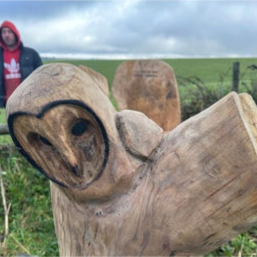 Southdowns bench