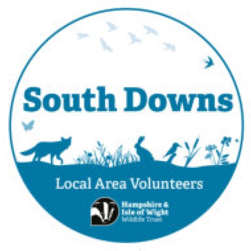 South Downs Local Area Volunteers logo