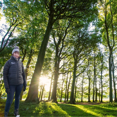 Southdowns trees