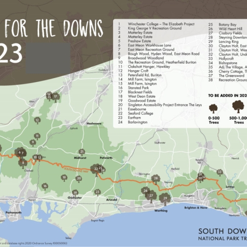 SOUTHDOWNS PARK WOODLAND PLAN