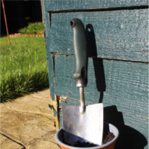 Garden trail in plant pot