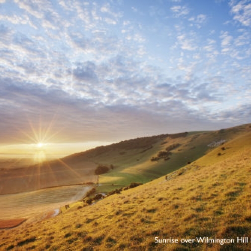 Success stories to mark the South Downs National Park’s birthday