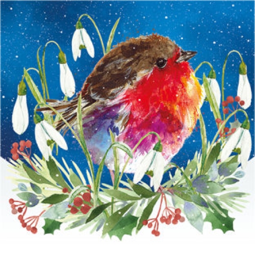 Sussex Snowdrop Trust