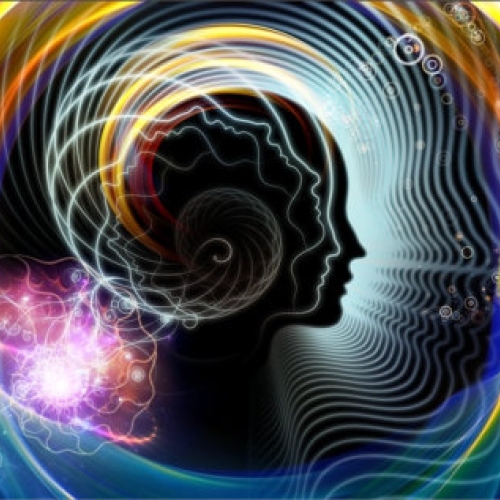The Vagus nerve
