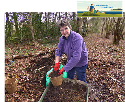 Saving saplings from The Avenue