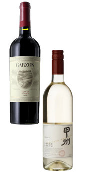 New wines for 2023