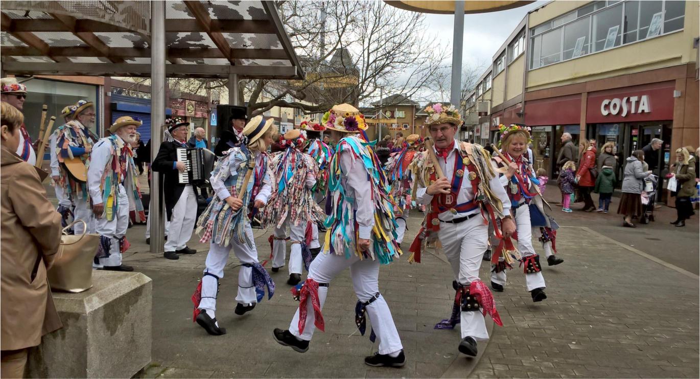 Waterlooville Folk Day