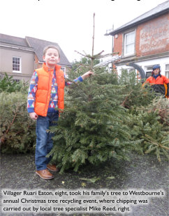 Christmas Tree Recycling